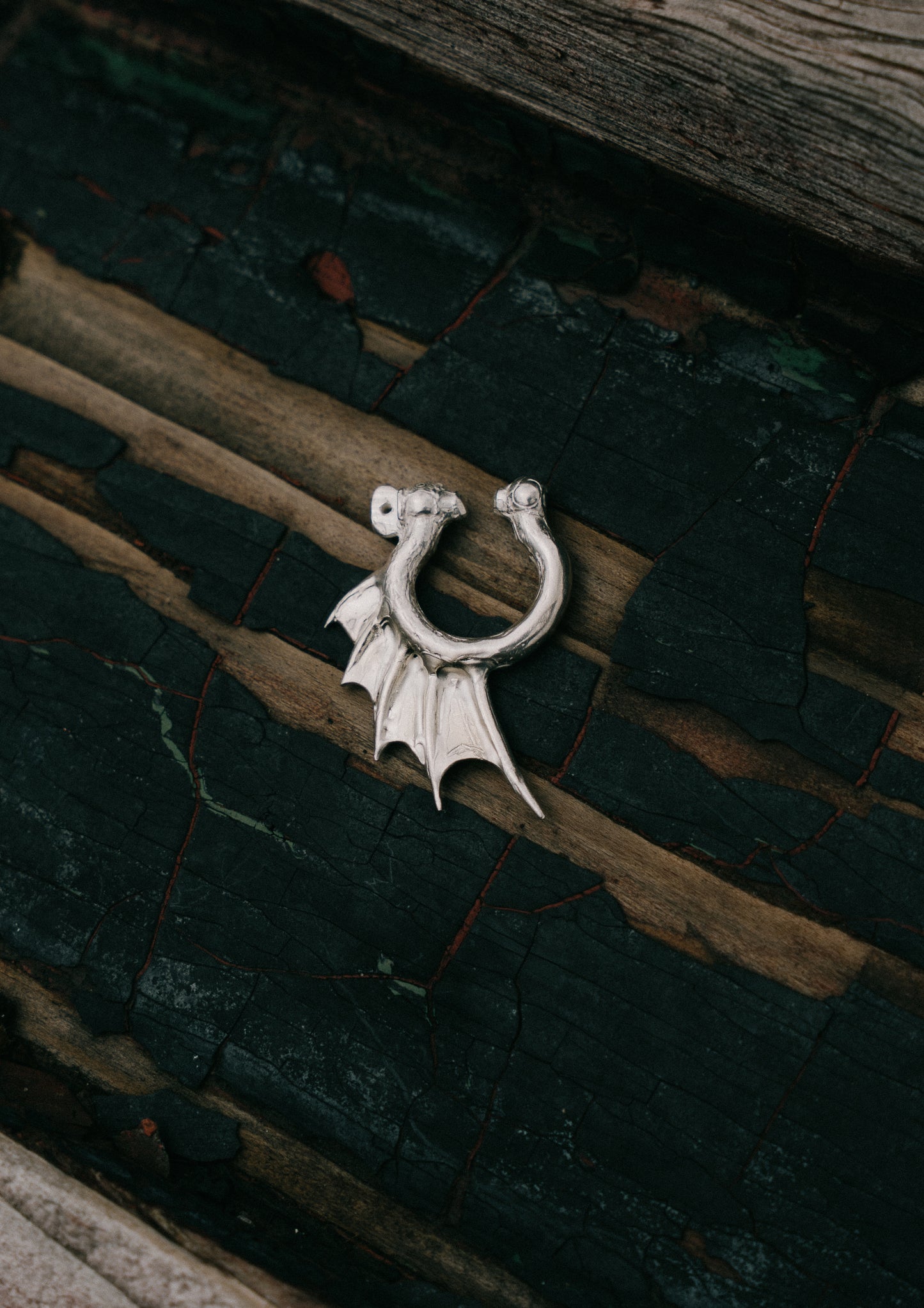 Shackle Fin