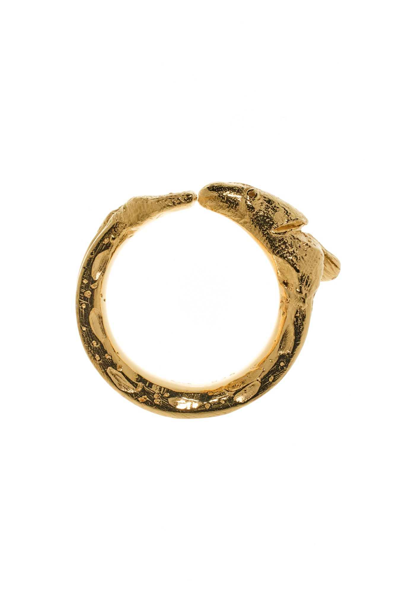 Zander um den Finger, marmorierte Haut gold plattiert. Abgebildet vor weißem Hintergrund.