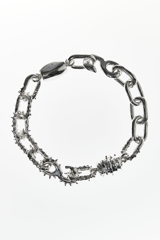 Hippocampus Kette