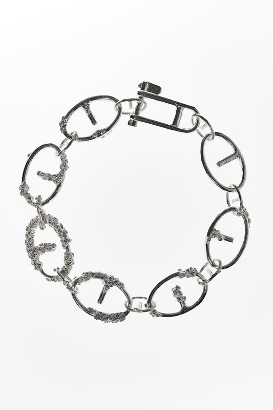 Cirripedia Anker Kette
