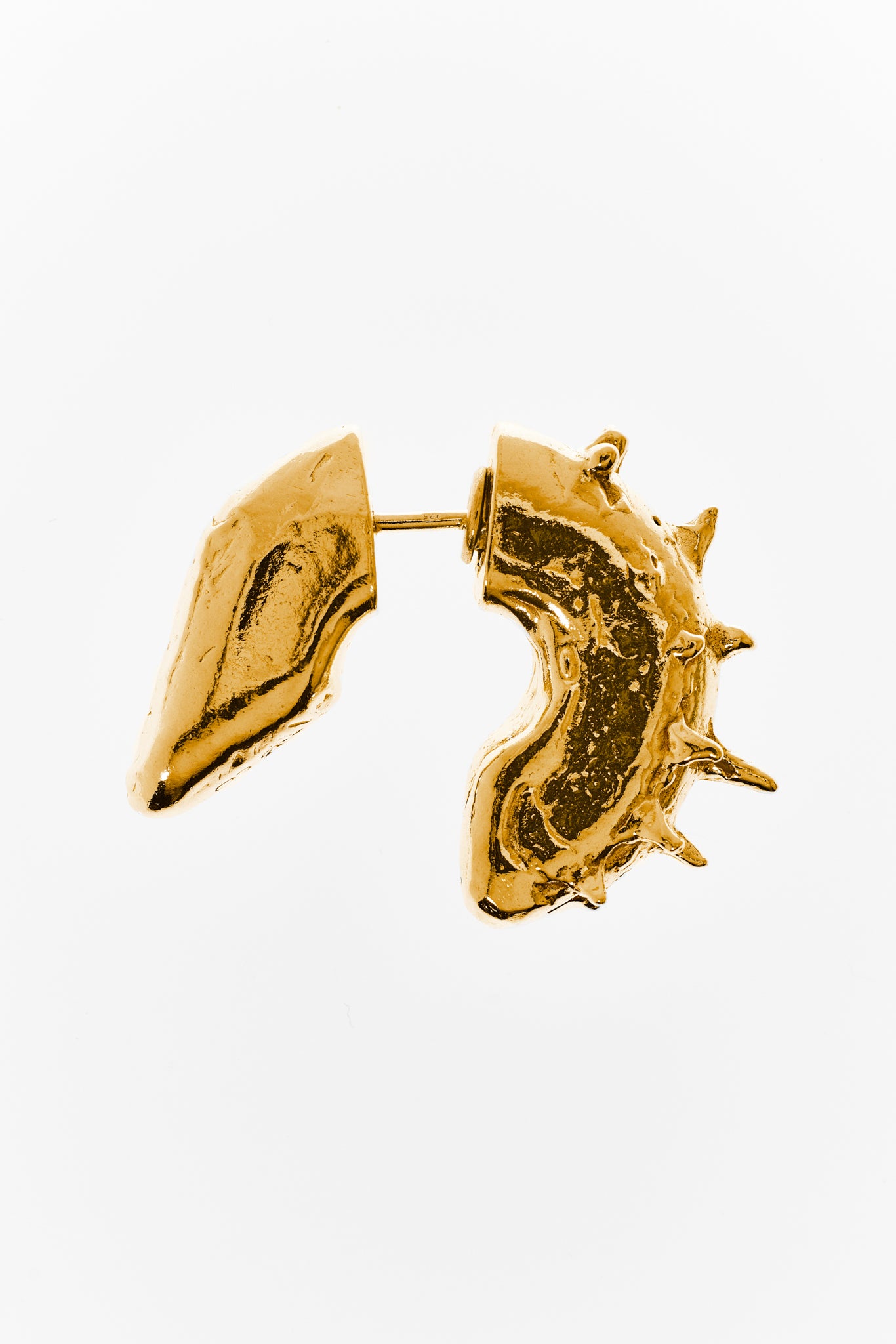Hippocampus Ohrring