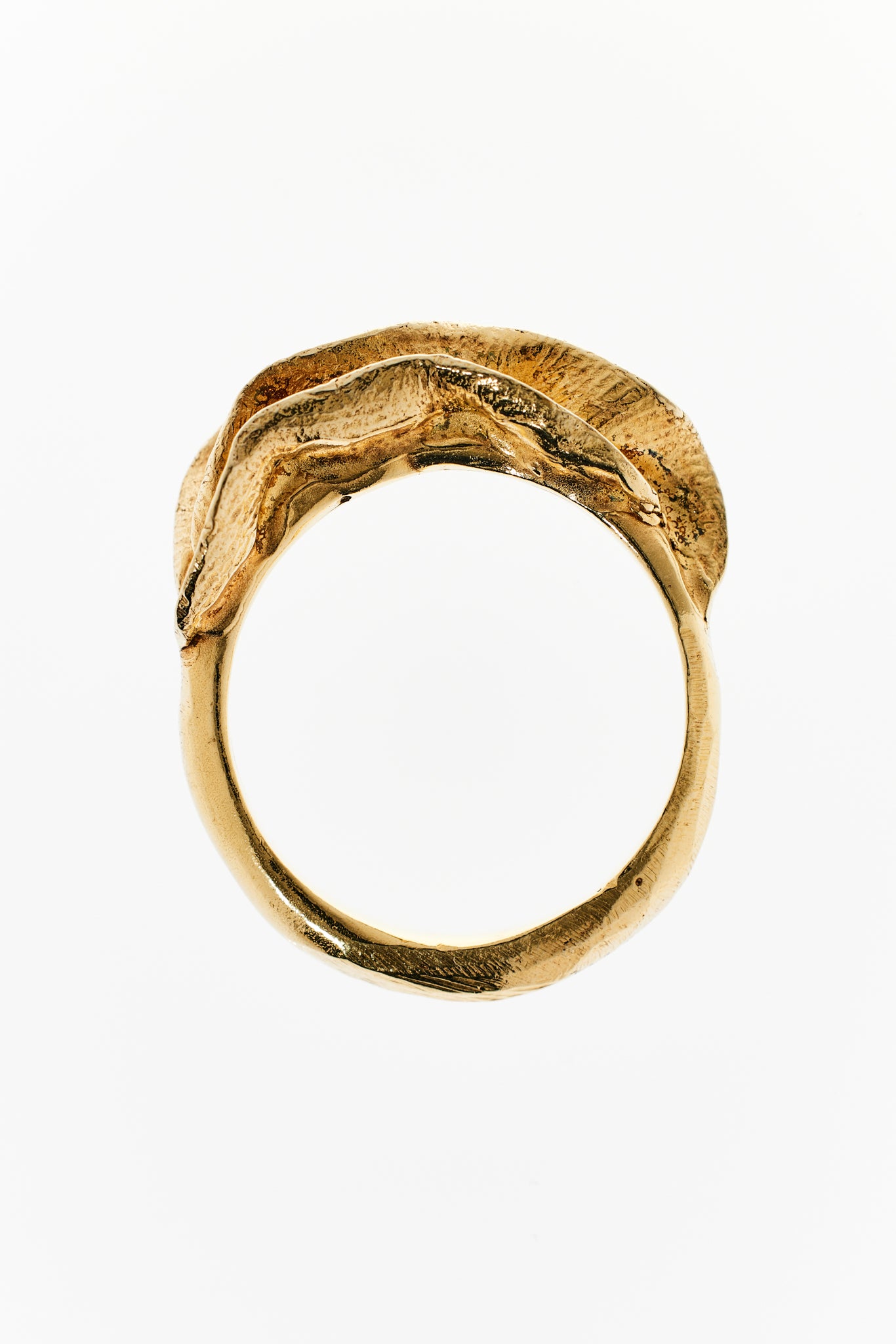 Mollusca Ring