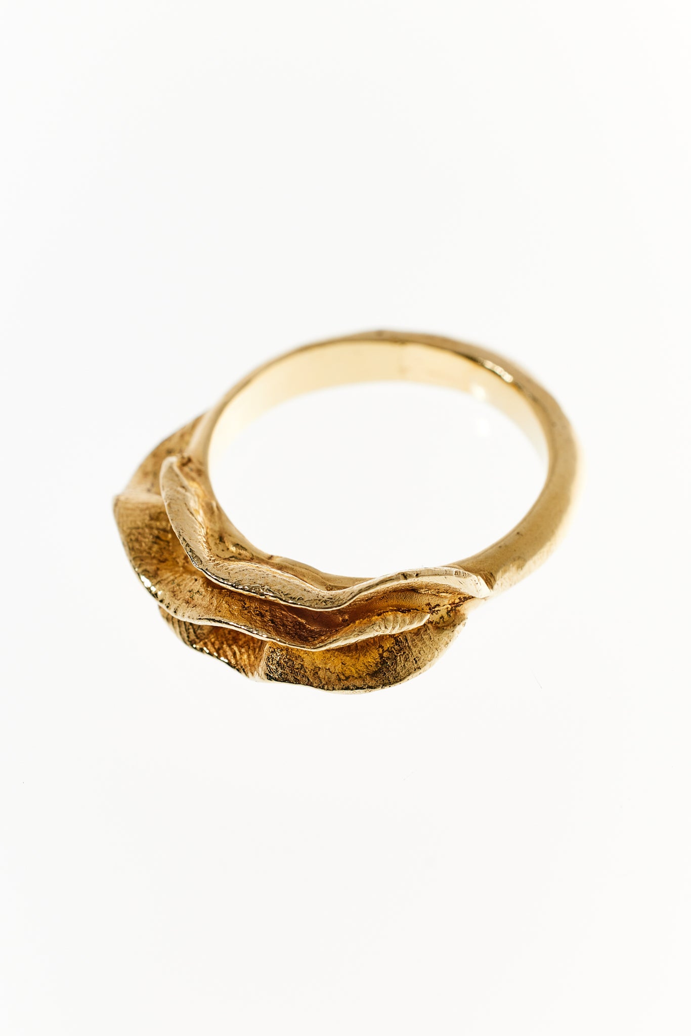 Mollusca Ring