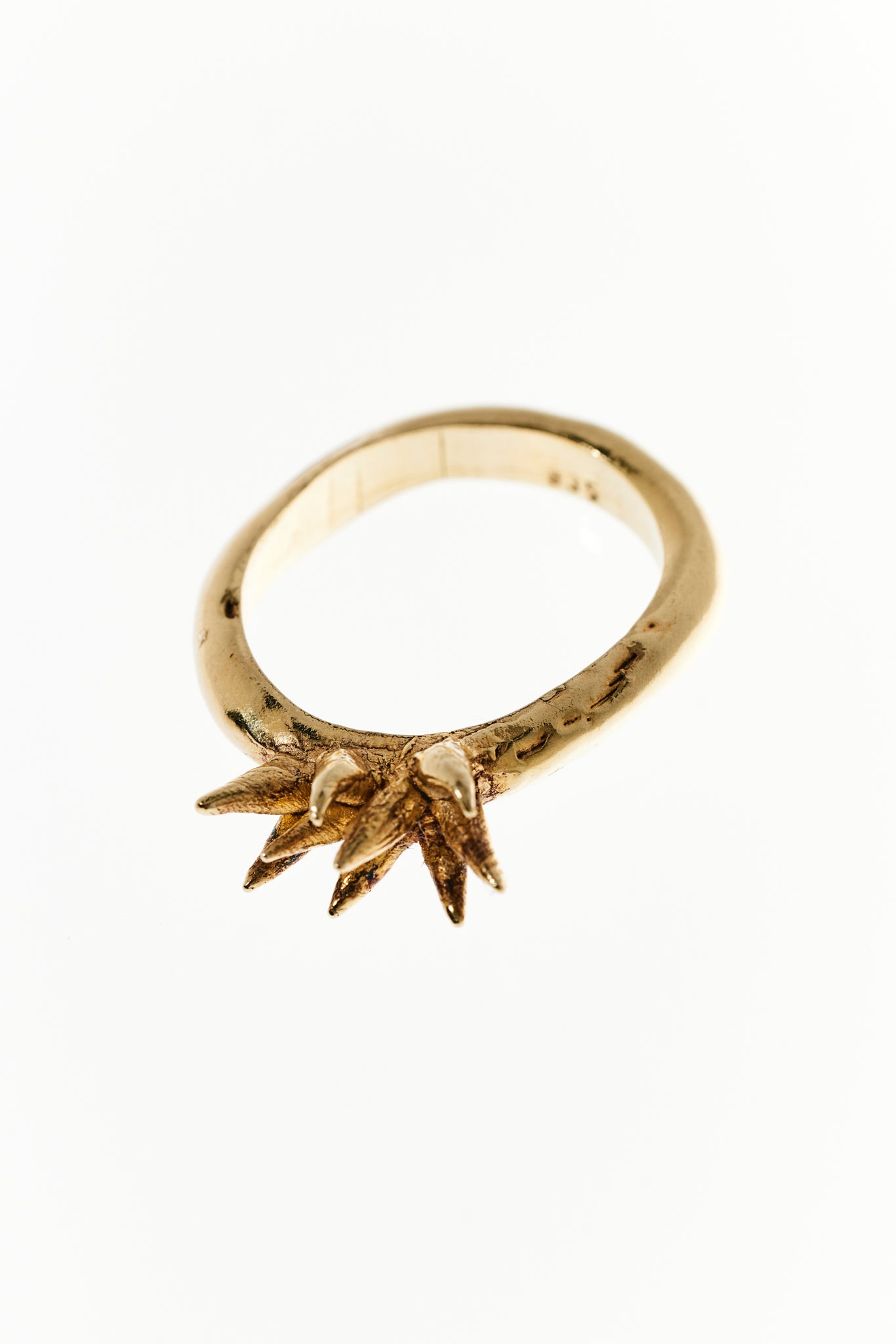 Anthozoa Ring