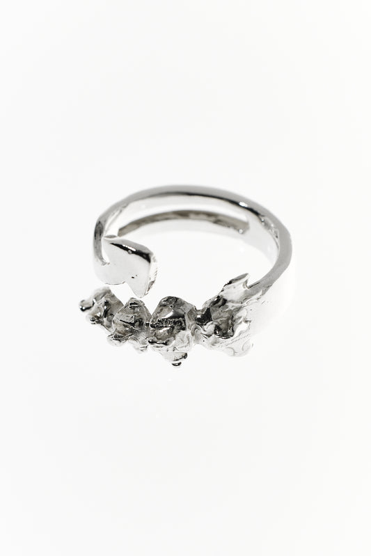 Vertebralis Harpoon Ring