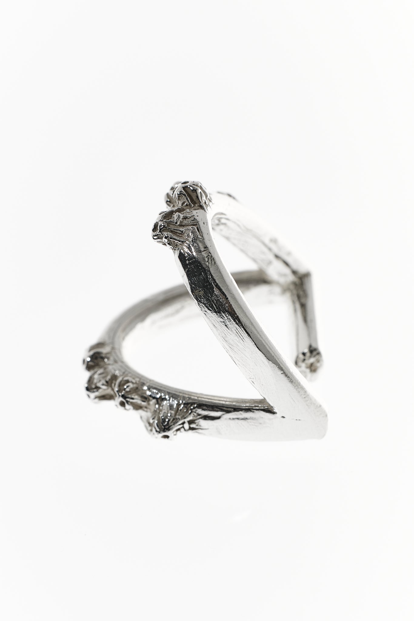 Cirripedia Anker Ring