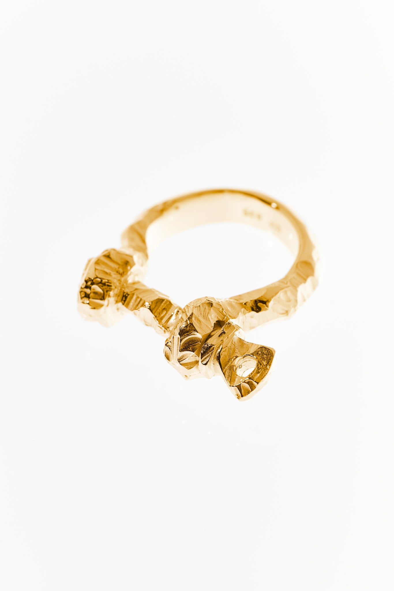 Degraded Shackle Ring