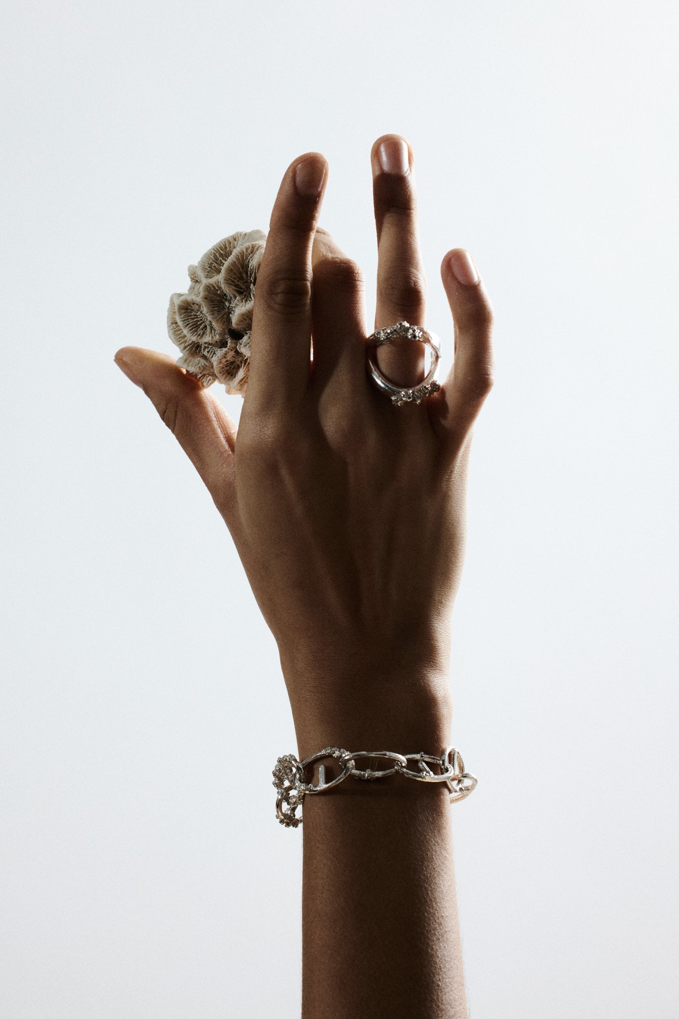 Cirripedia Anker Armband