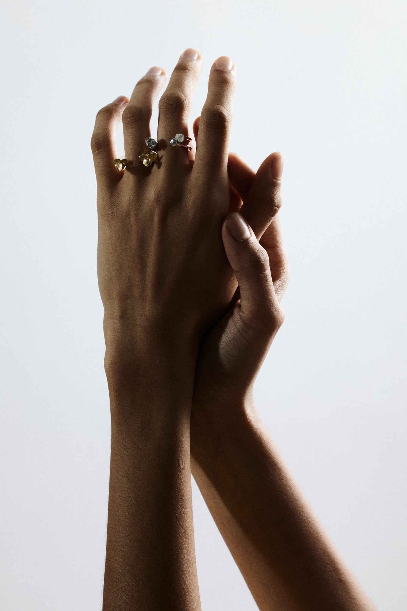Medusozoa Ring