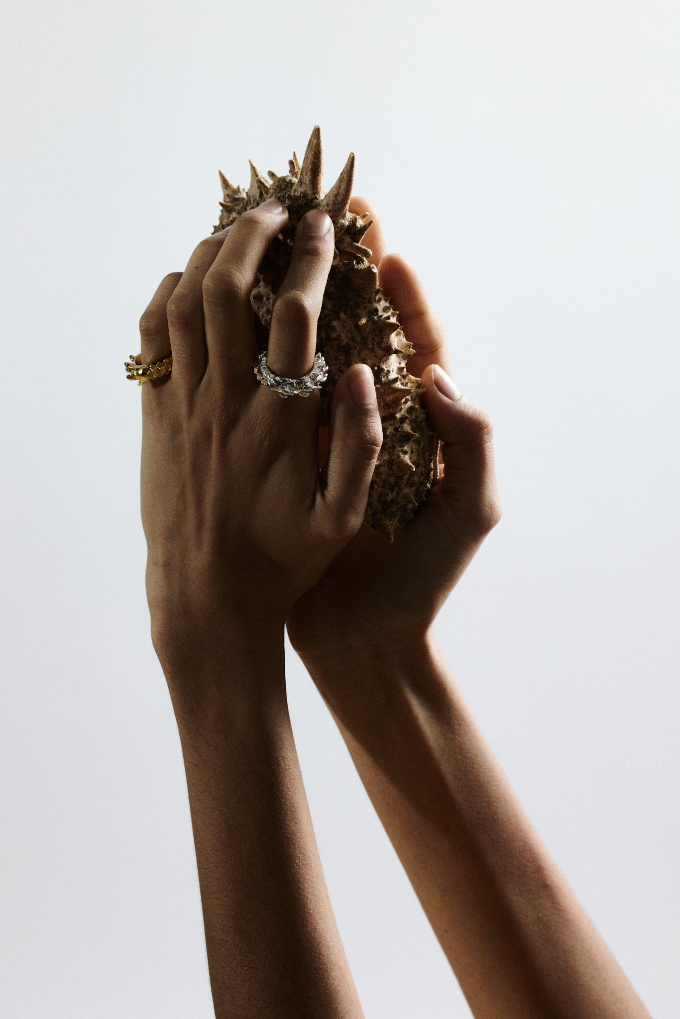 Anomura Ring
