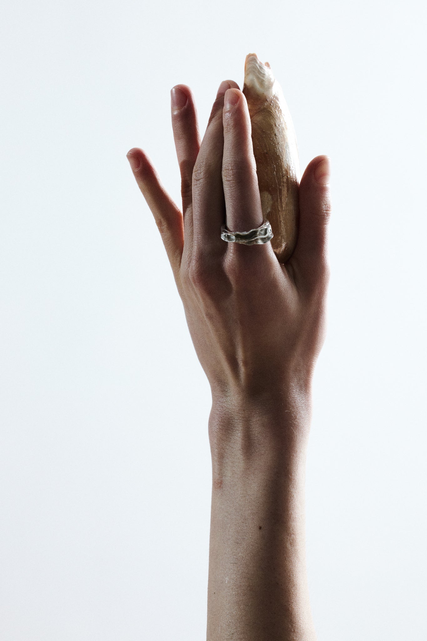 Mollusca Ring