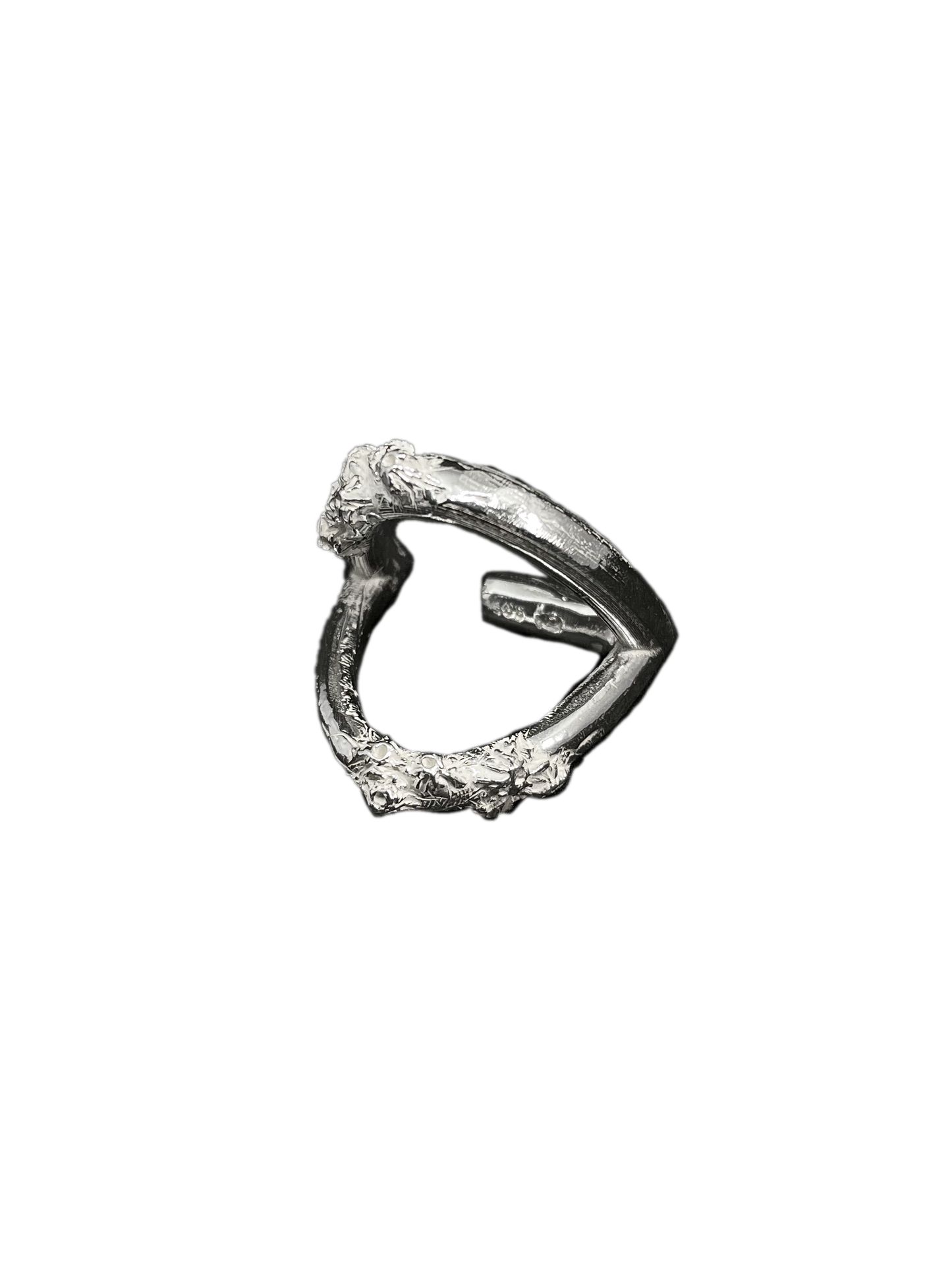 Cirripedia Anker Ring