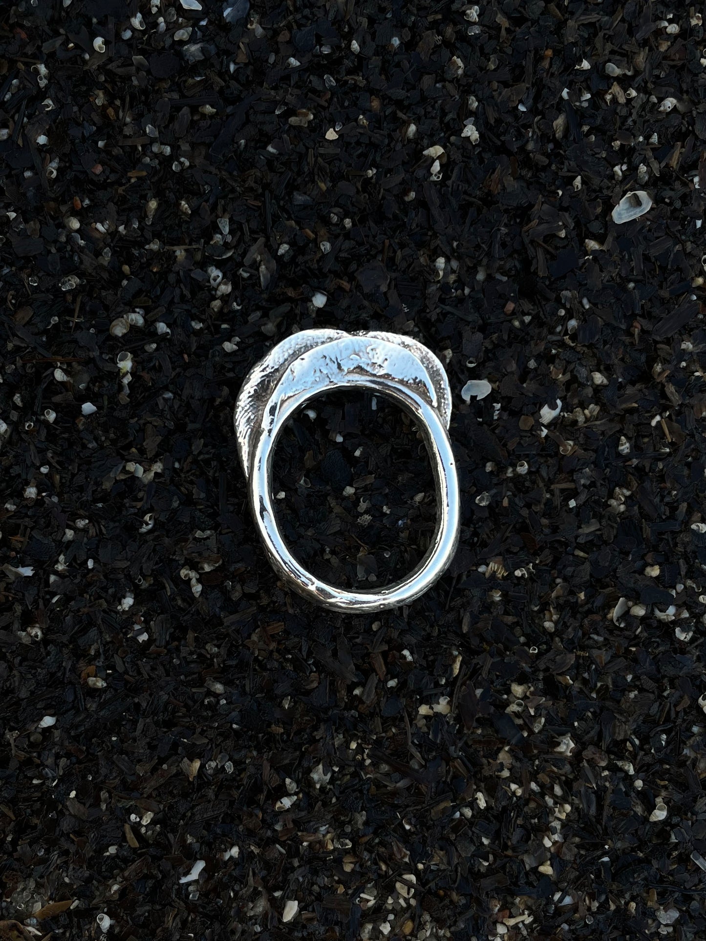 Molluscan Ring