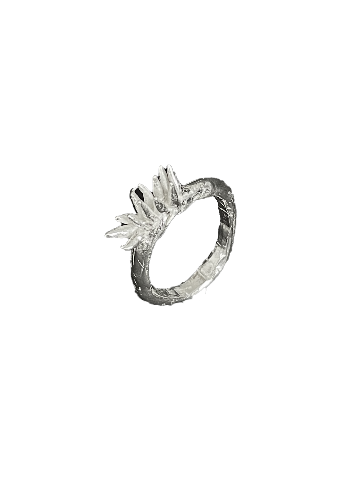 Anthozoa Ring