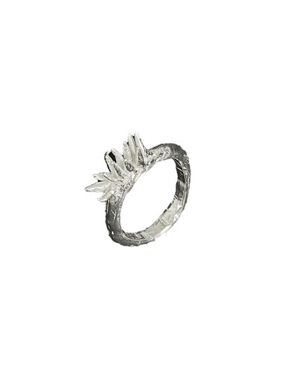 Anthozoan Ring