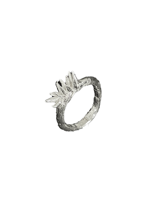 Anthozoa Ring
