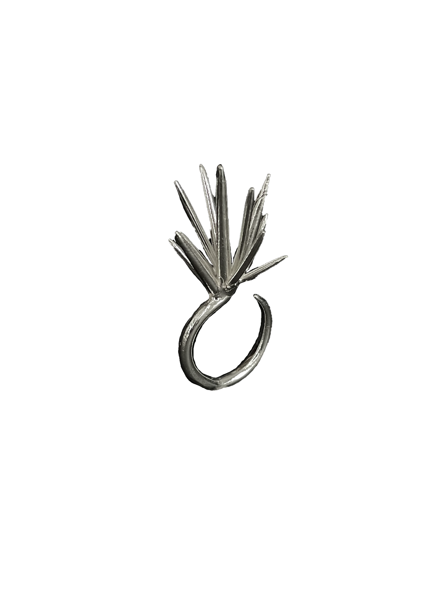 Mutated Echinoidea Ring