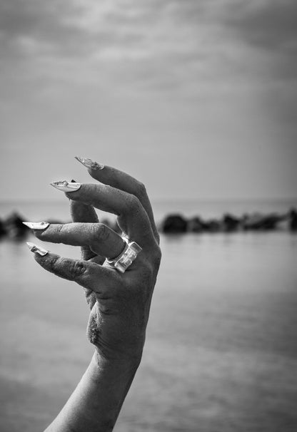 Fluke Signet Ring