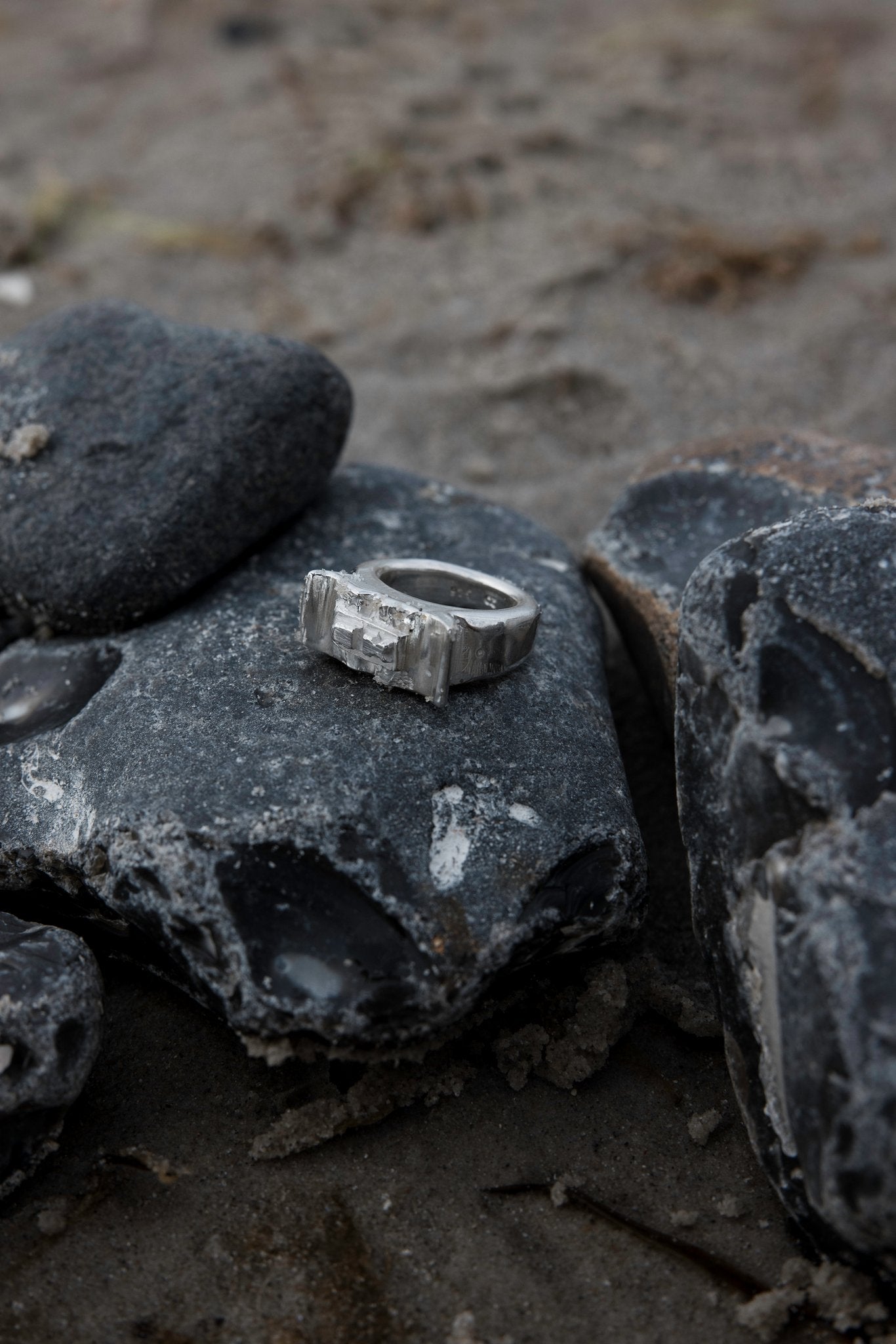 Fluke Signet Ring