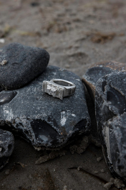 Fluke Signet Ring