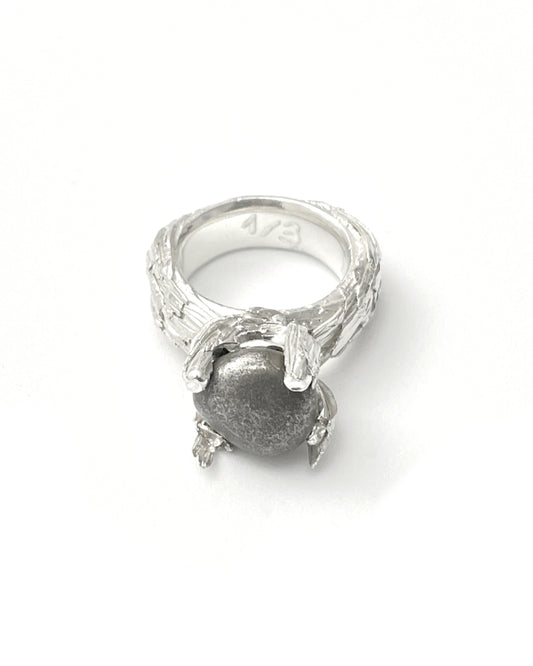 Penguin Ring