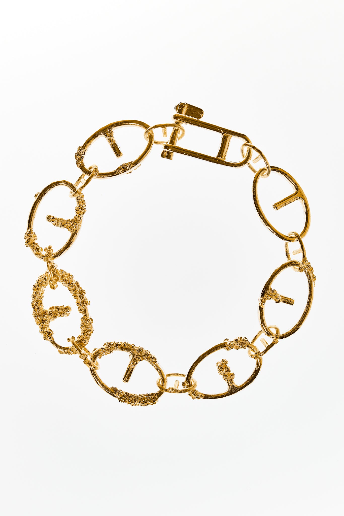 Cirripedia Anchor Chain