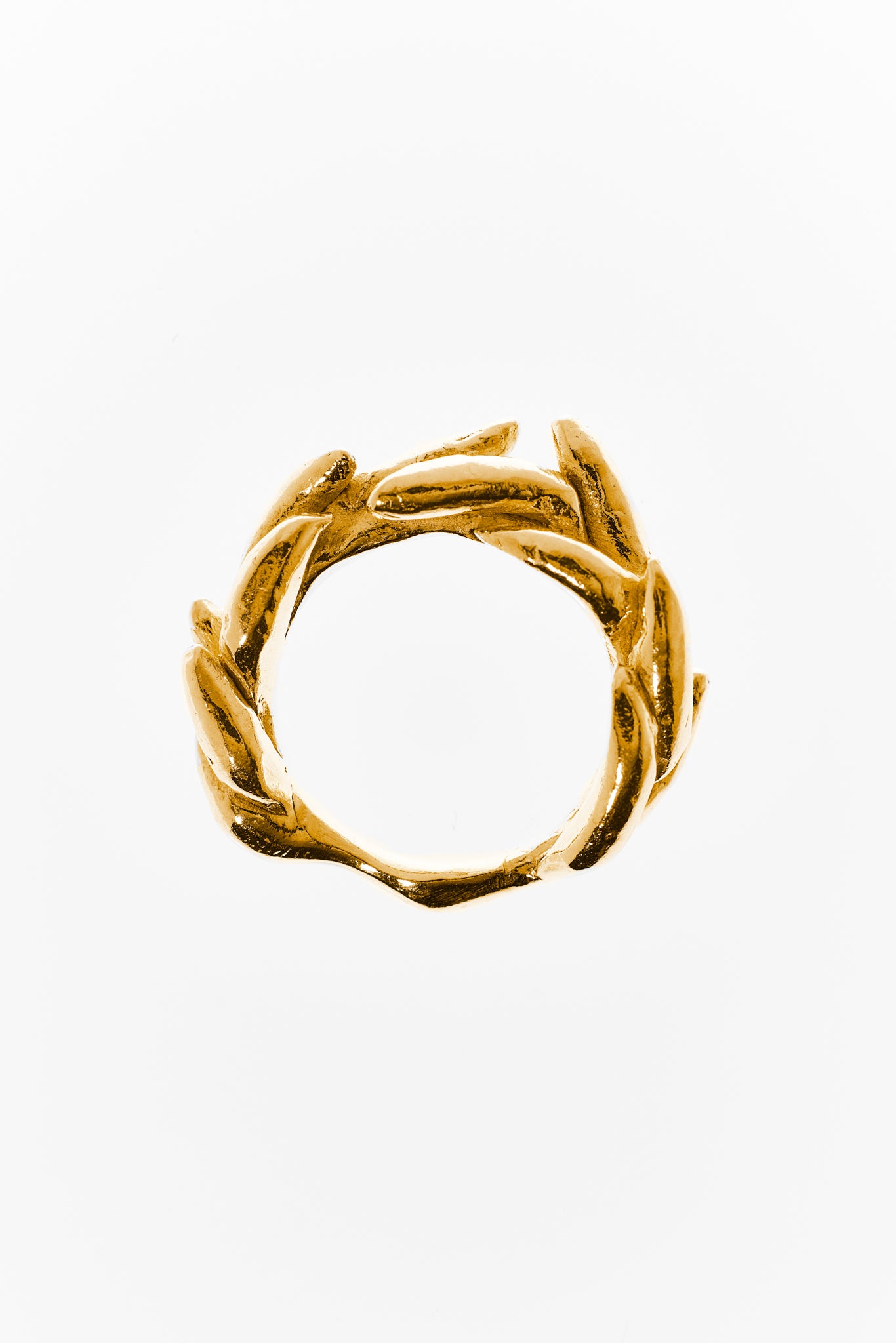 Floating Physalia Ring