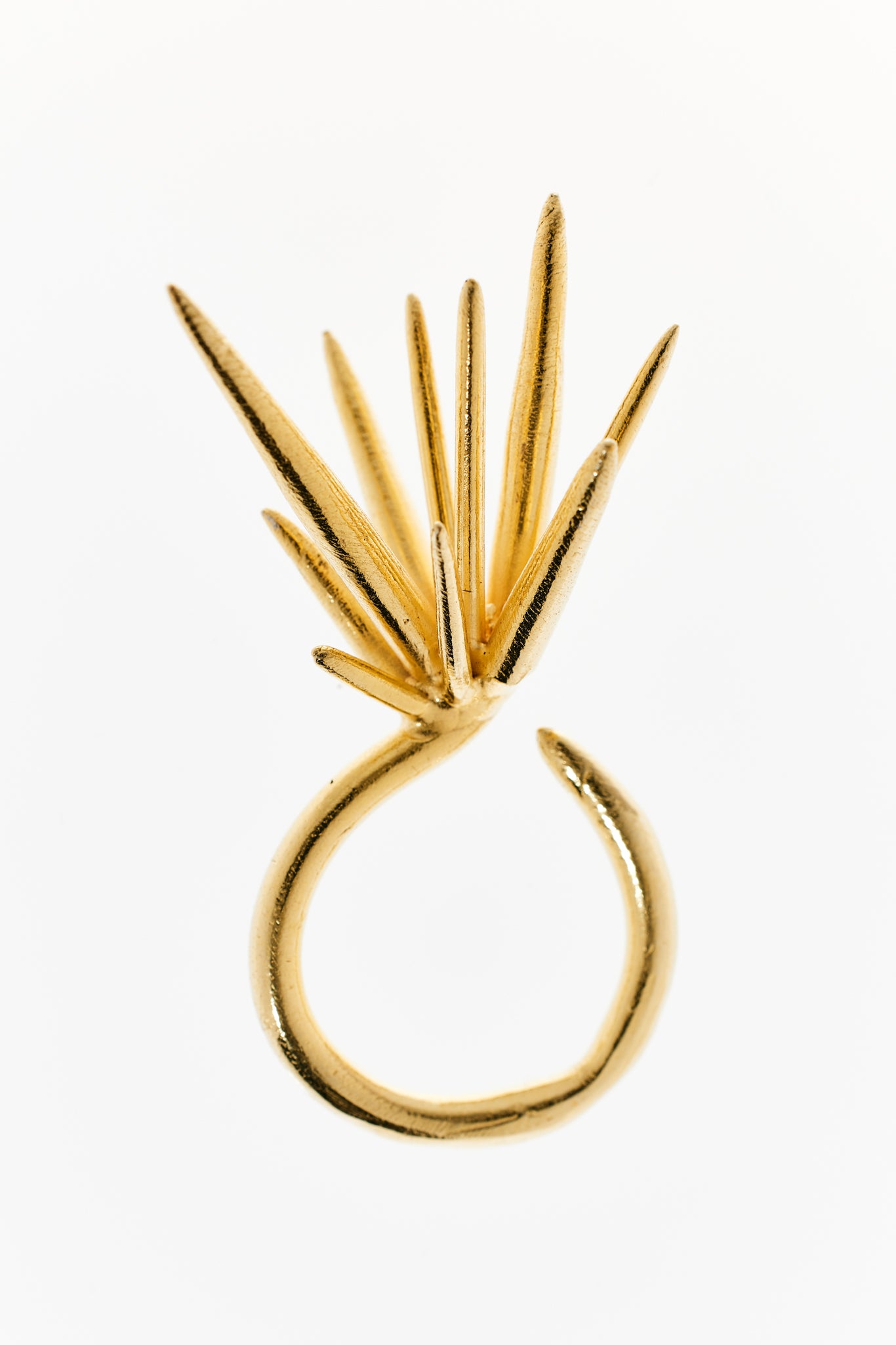 Mutated Echinoidea Ring