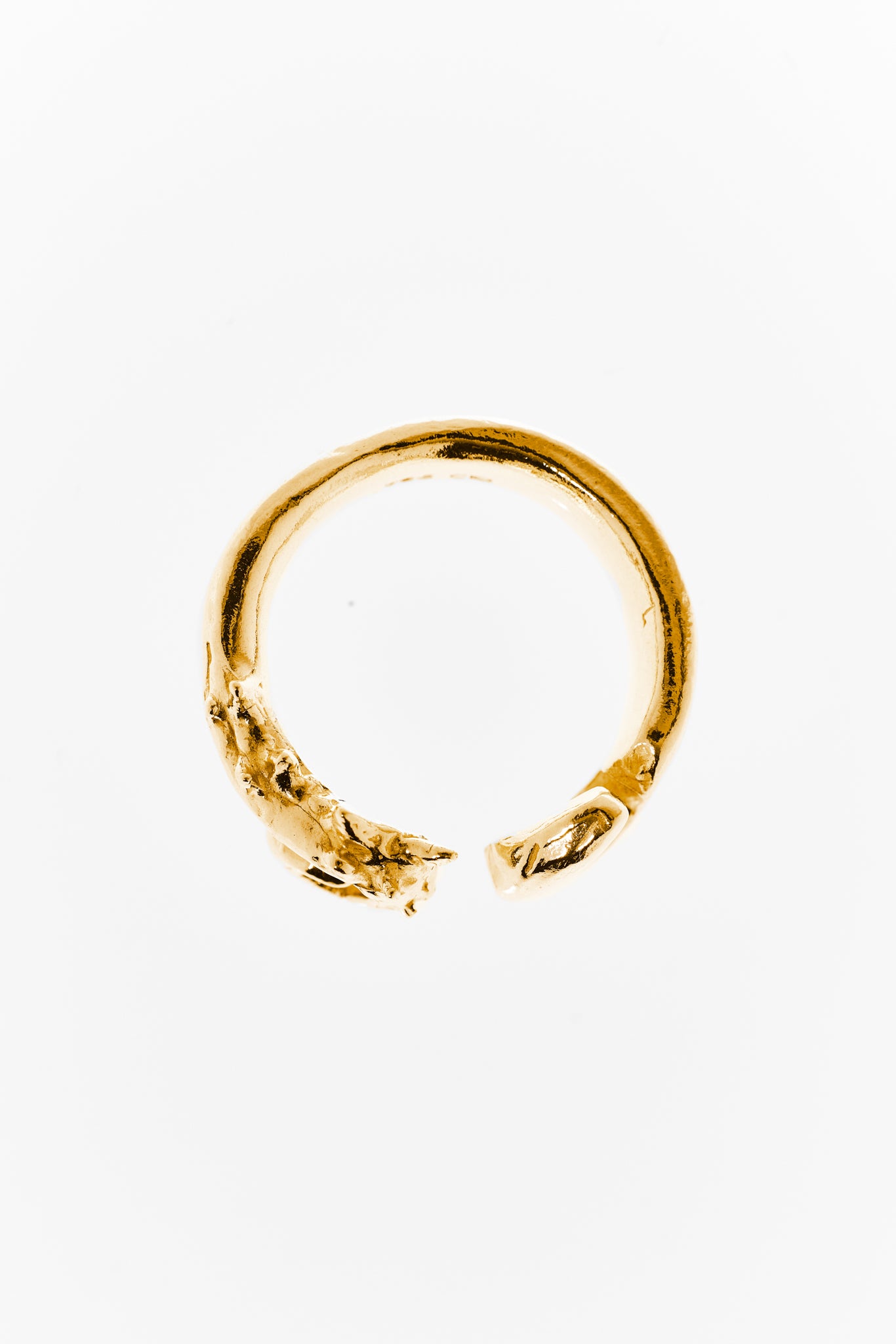 Hippocampus Ring