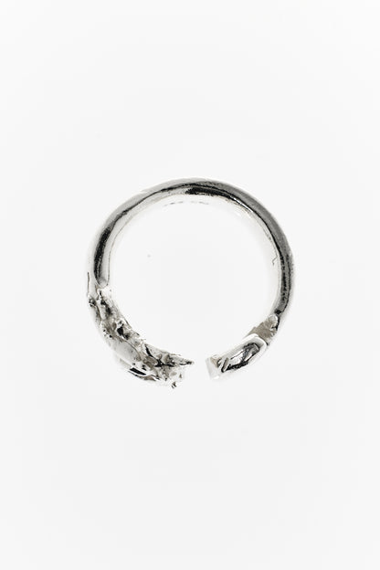 Hippocampus Ring