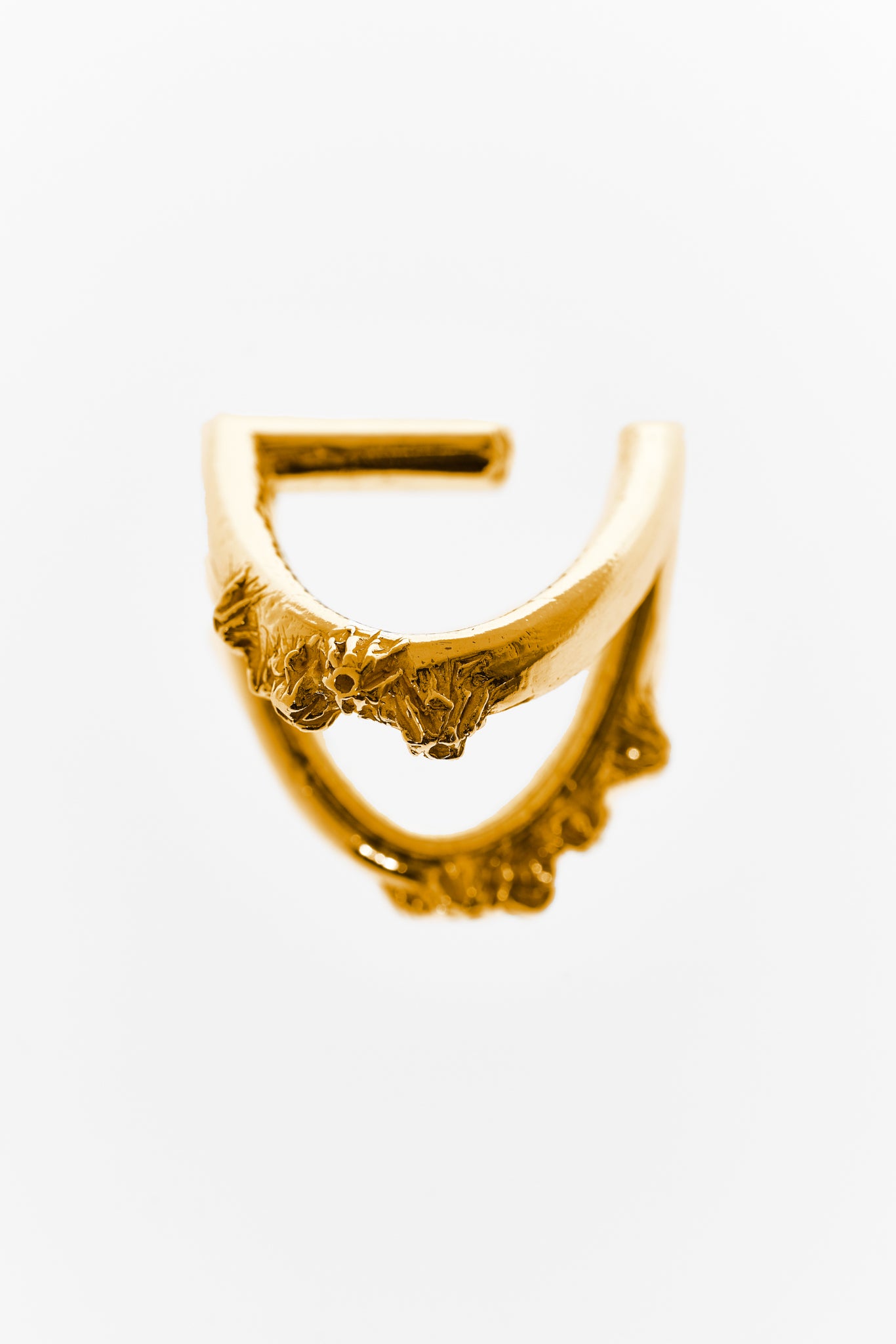 Cirripedia Anker Ring