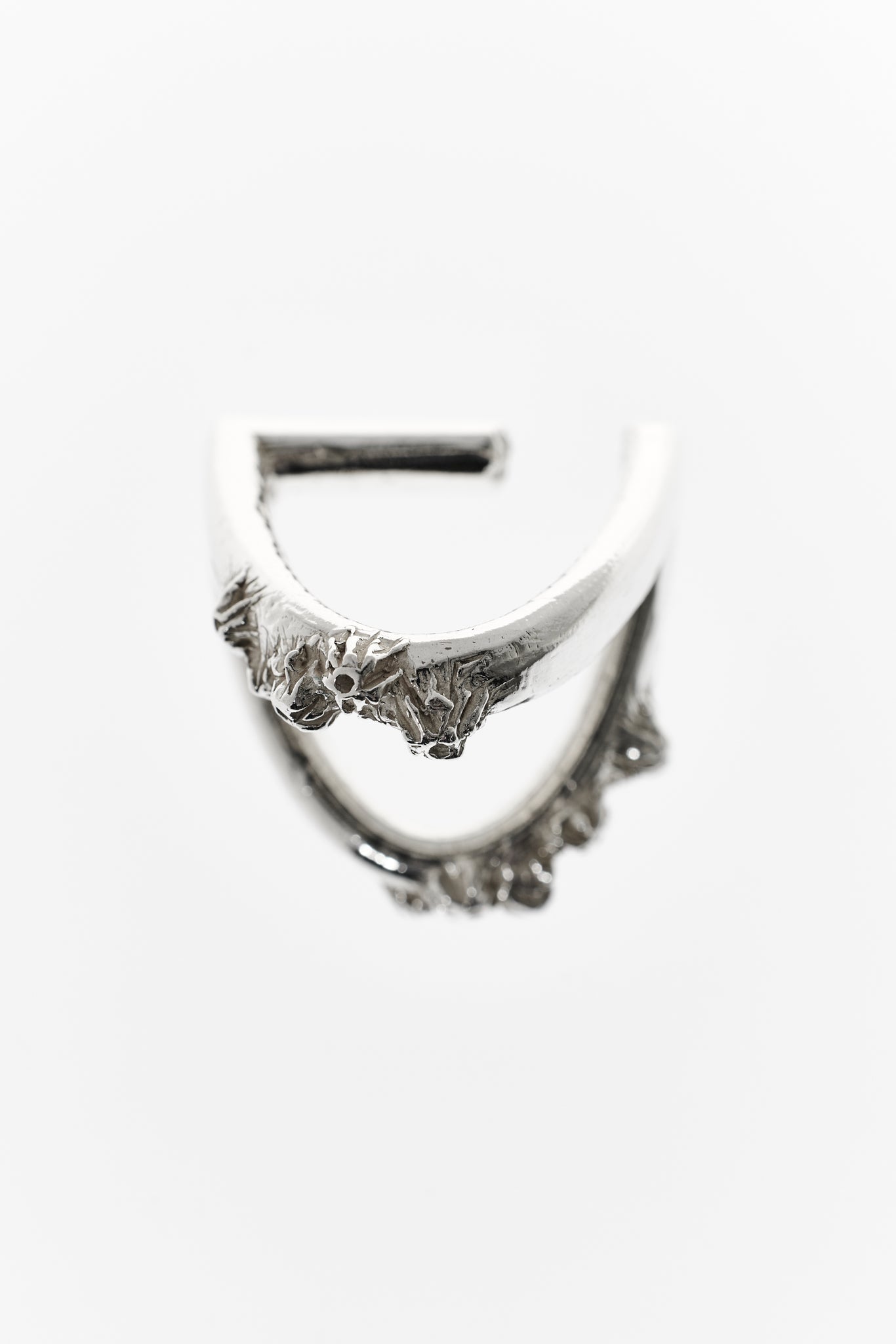 Cirripedia Anker Ring