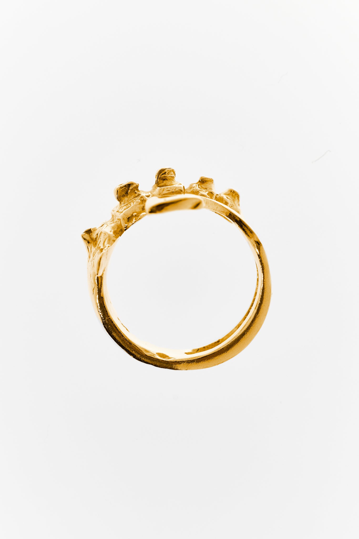 Vertebral Harpoon Ring