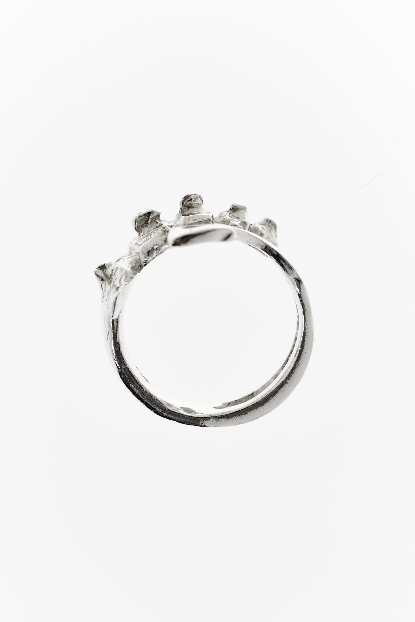 Vertebral Harpoon Ring