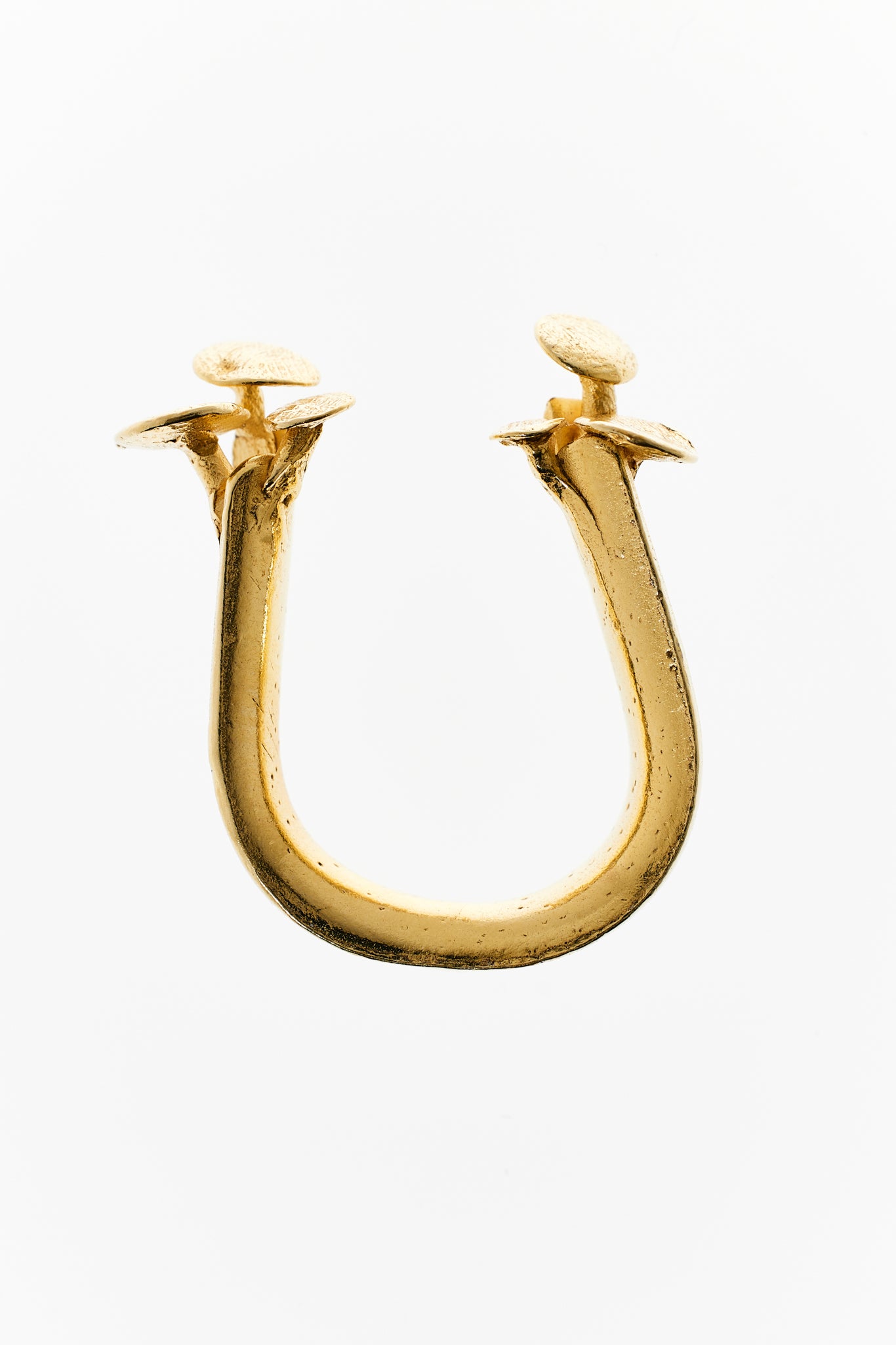 Medusozoa ring