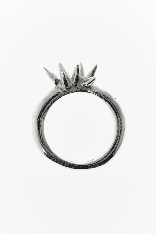 Anthozoan Ring