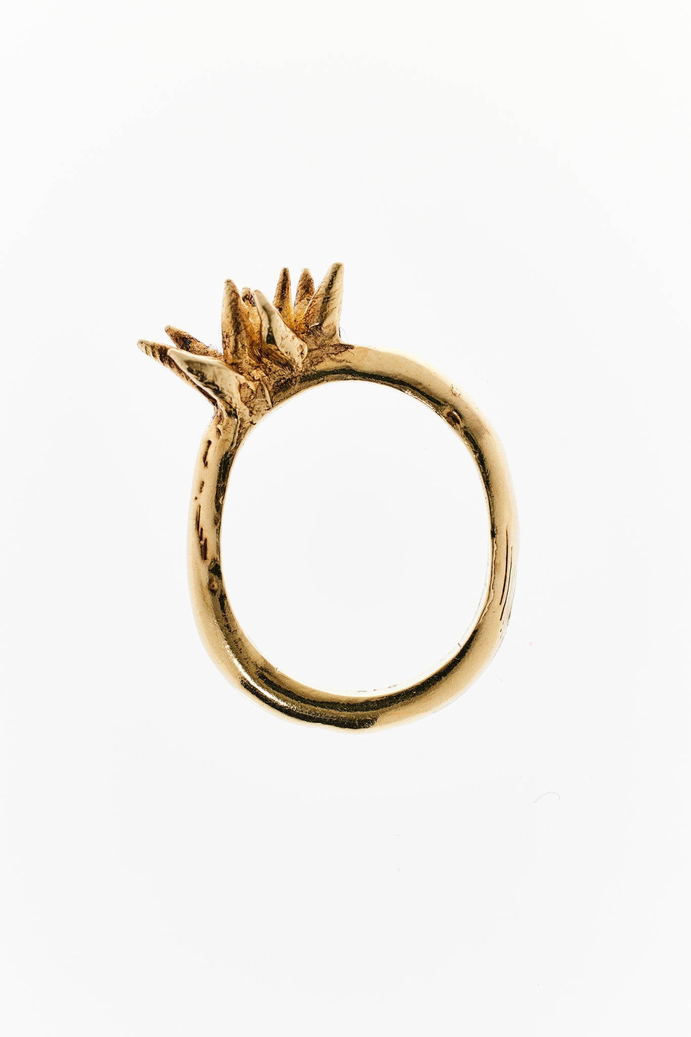 Anthozoa Ring
