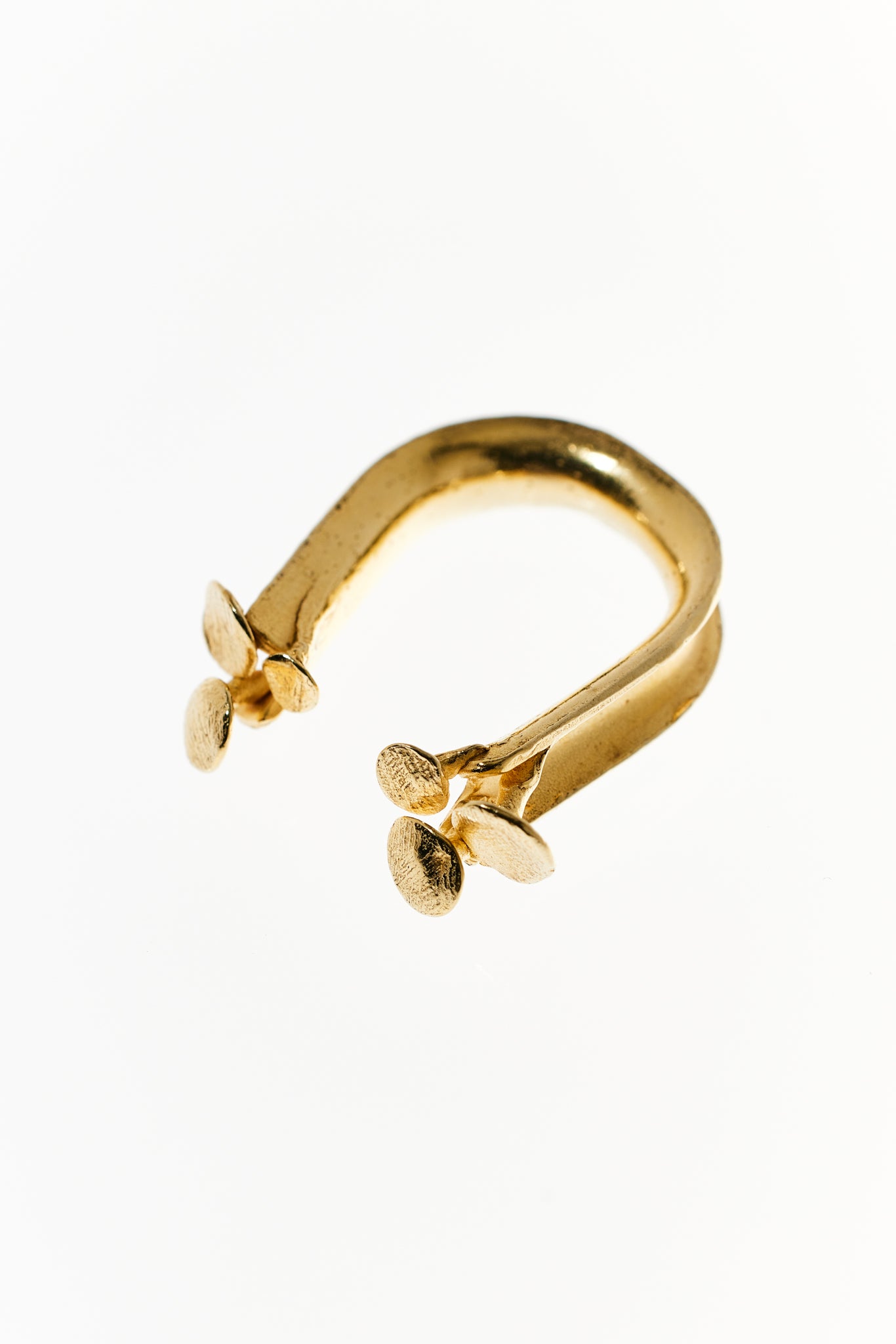 Medusozoa ring