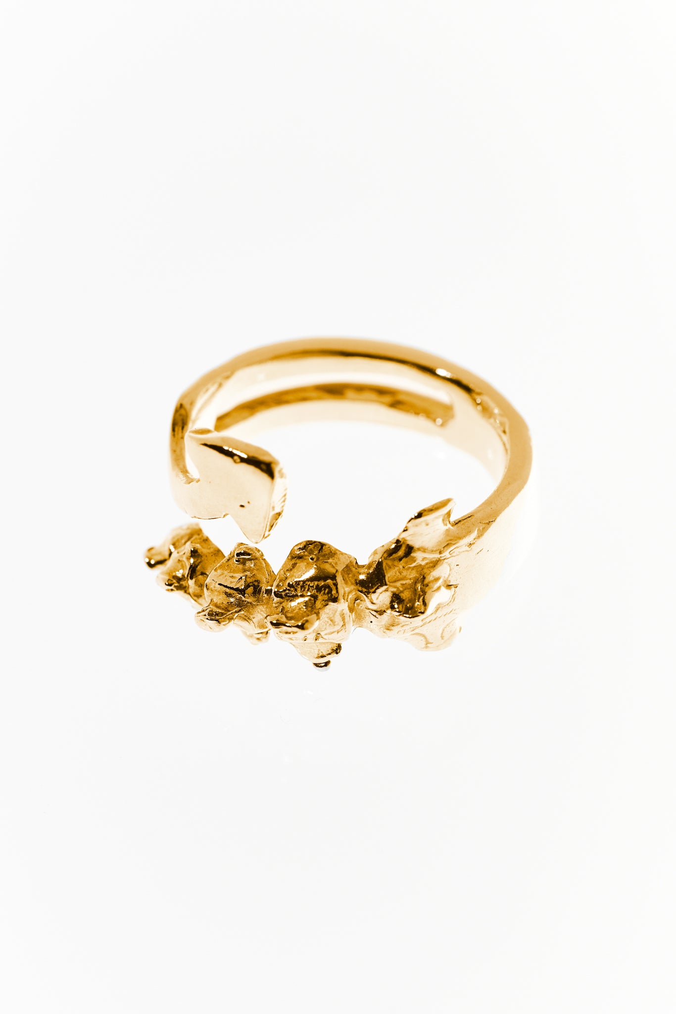 Vertebral Harpoon Ring