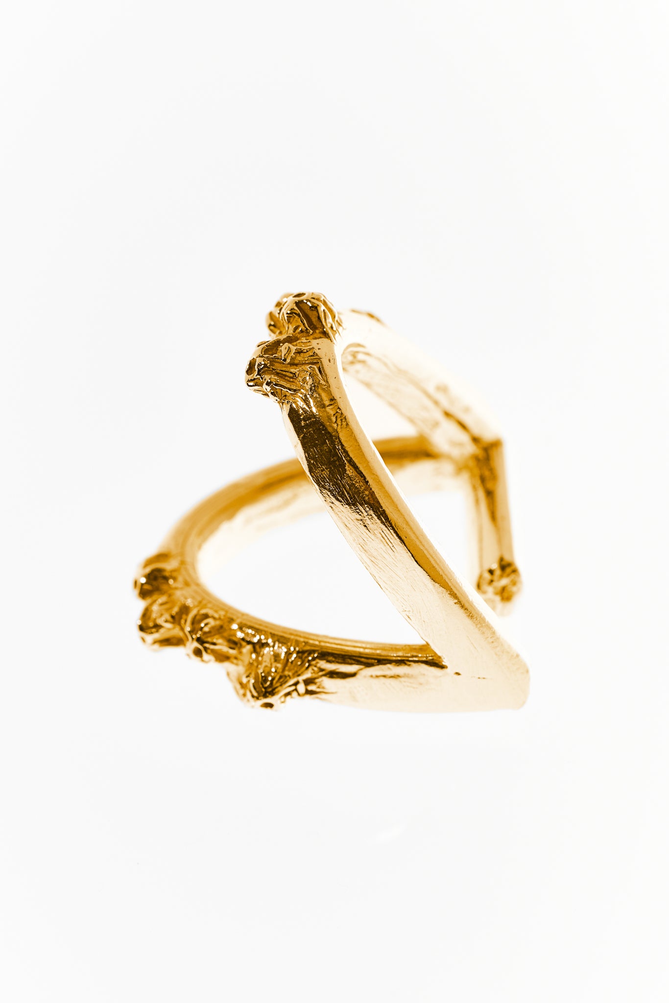 Cirripedia Anker Ring