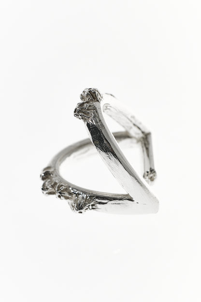 Cirripedia Anker Ring