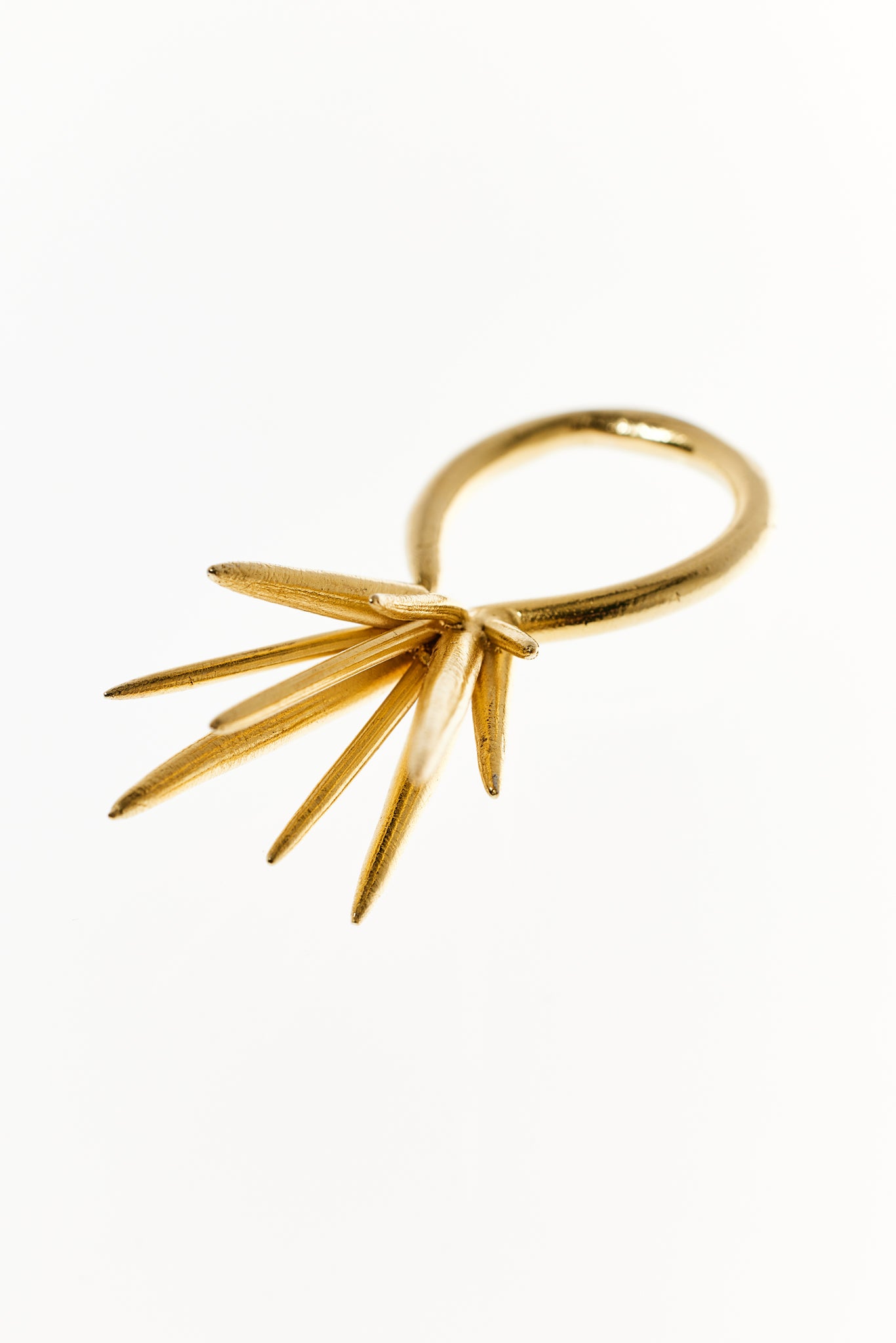 Mutated Echinoidea Ring