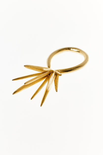 Mutated Echinoidea Ring