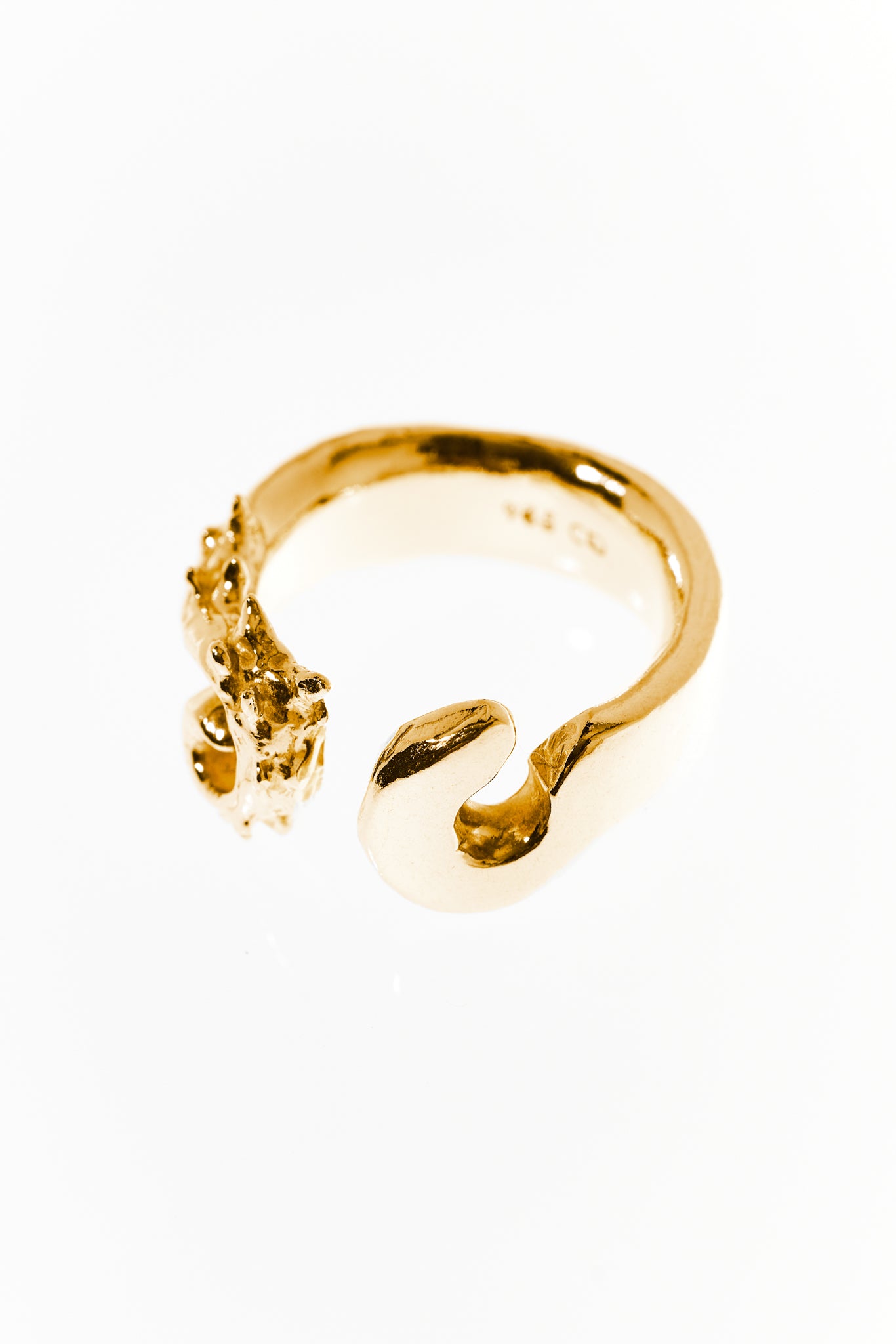 Hippocampus Ring