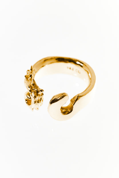 Hippocampus Ring