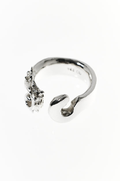 Hippocampus Ring