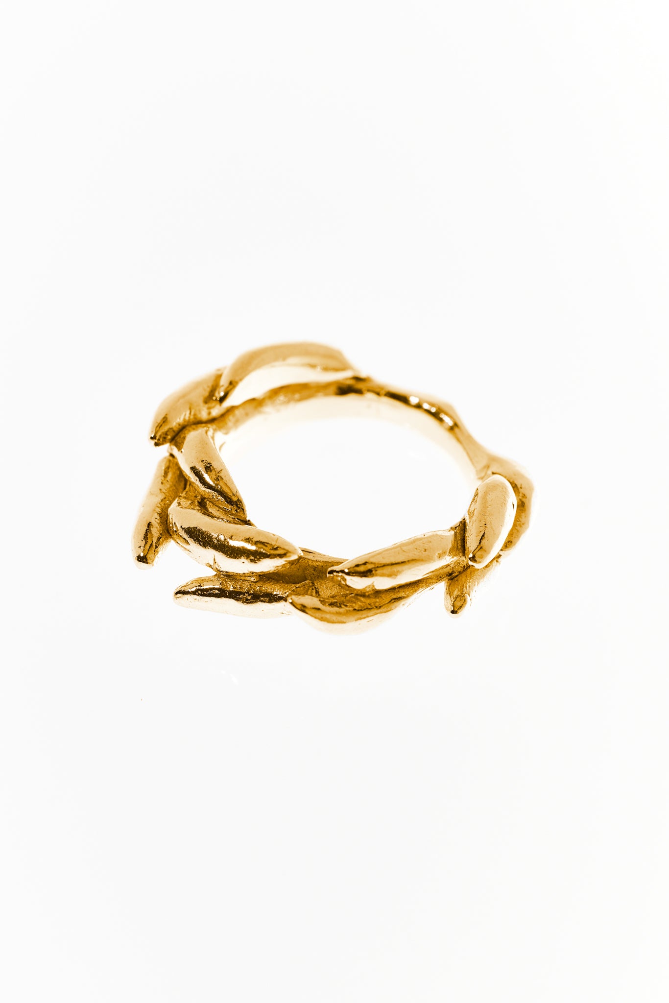 Floating Physalia Ring