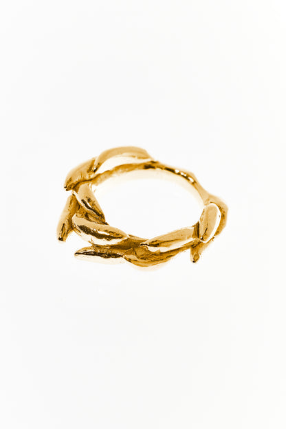 Floating Physalia Ring