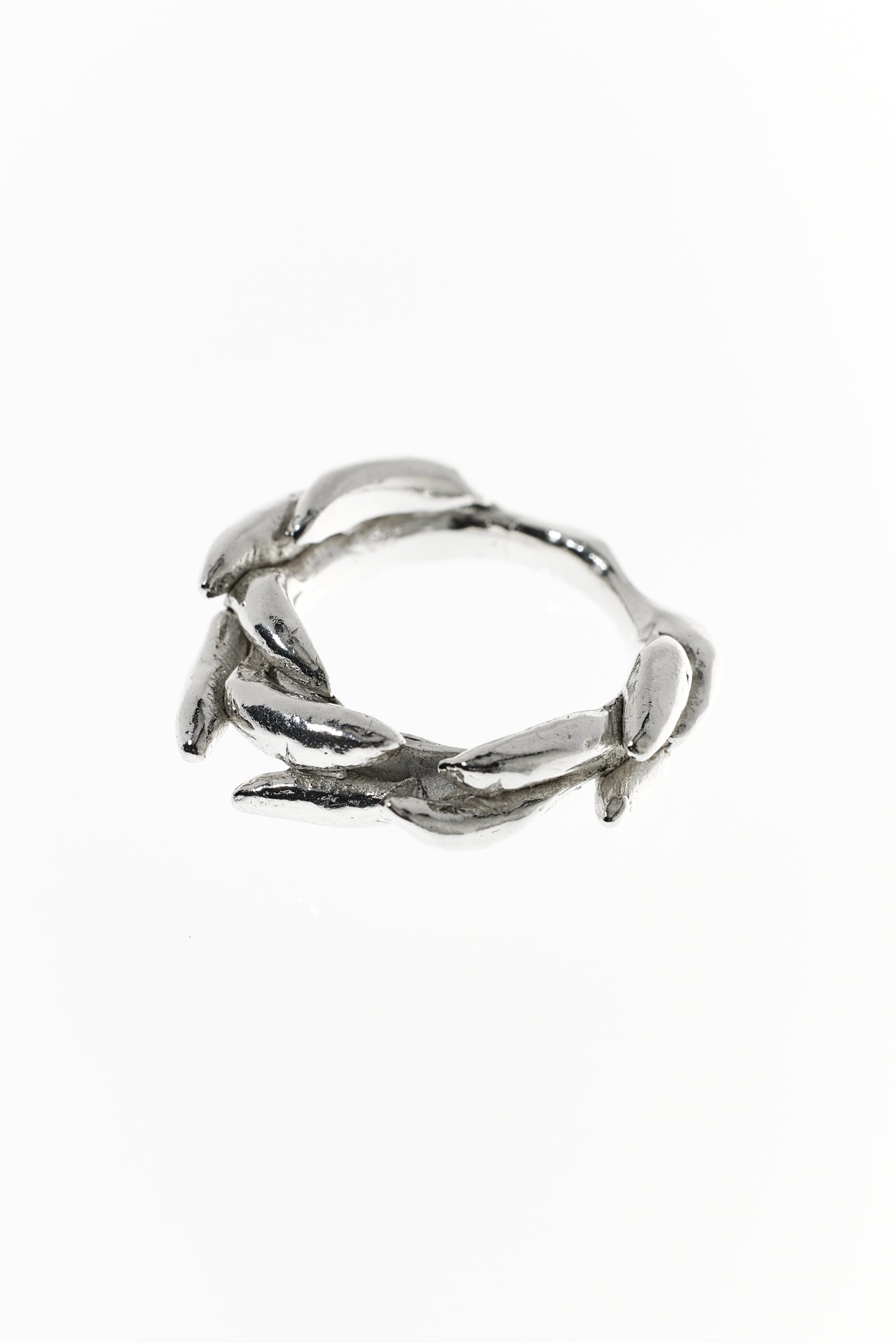Floating Physalia Ring
