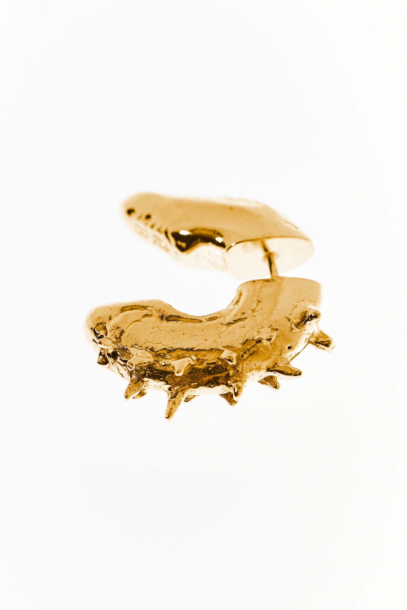 Hippocampus Ohrring